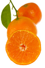 Fototapeta na wymiar Frische Orangen-Mandarinen,freigestellt