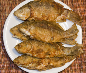 Fried fish in plate