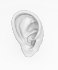 Ear