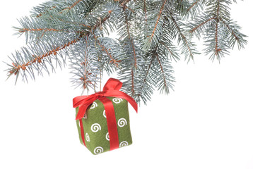 Christmas gift on fir tree branch isolated on white