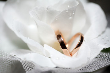 wedding (rings)