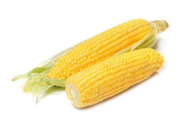 Corn cob