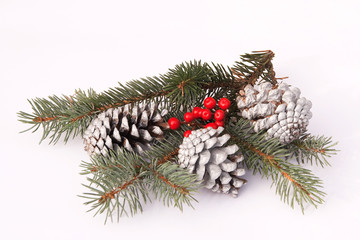 Pine-cones and berries on blue juniper