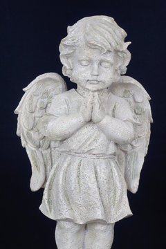 Engel