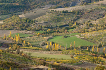 vallée cultivée - paysage d'automne