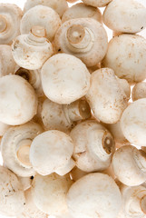 heap of champignons