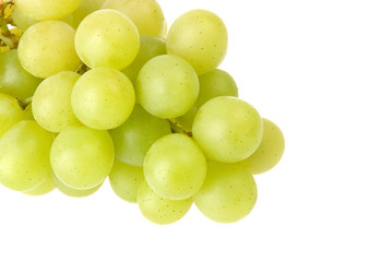 bunch of fresh green grapes isolated on white