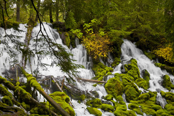 Clearwater Falls - Umpqua Scenic Byway