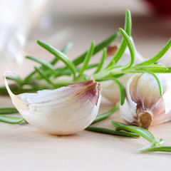 garlic - frischer knoblauch und rosmarin