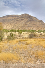 Landschaft in Namibia