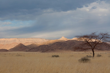 Fototapeta na wymiar Landschaft in Namibia