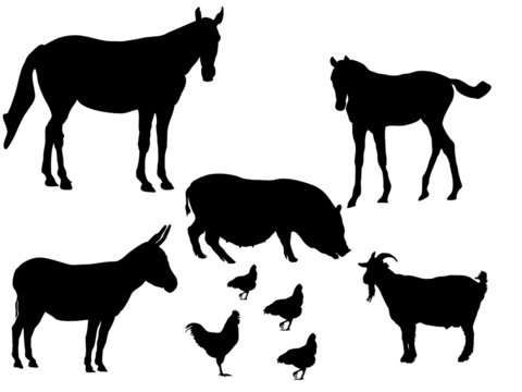 Eine Auswahl Farmtiere-Silhouetten