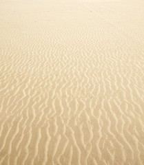 Beach sand waves warm texture background