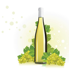 vector illustration of wine, champagne bottle with grapes