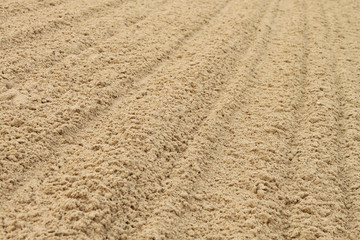 Sand background texture