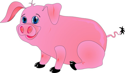 Cartoon pig