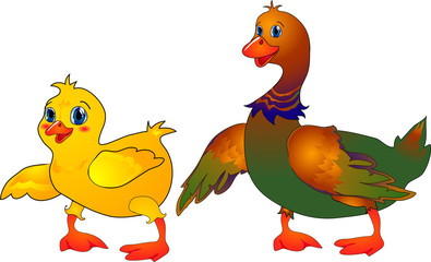 Cartoon duck & duckling