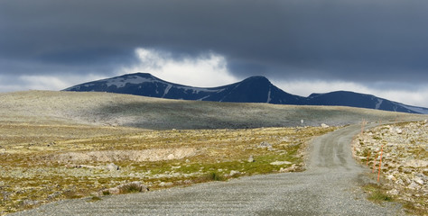 Nationalpark Dovrefjell