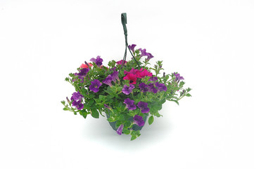 suspension florale