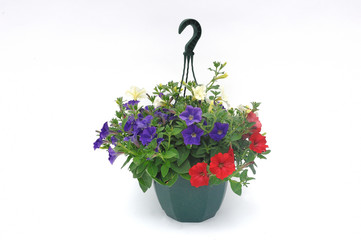 suspension florale