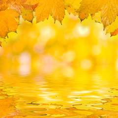 Naklejka na ściany i meble Bunte Blätter im Herbst am Wasser