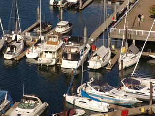 Fototapeta na wymiar Yachthafen w Vancouver
