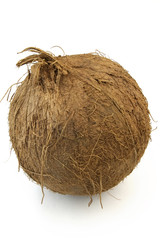 Coconut