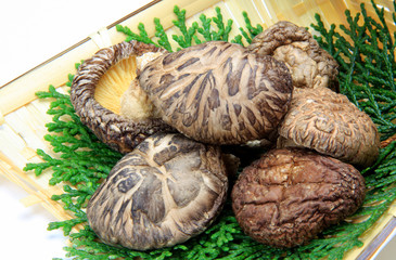 dried shiitake