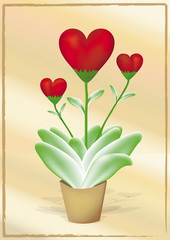 Plantation Love - cœurs