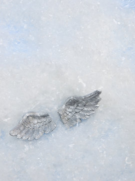 Lost wings