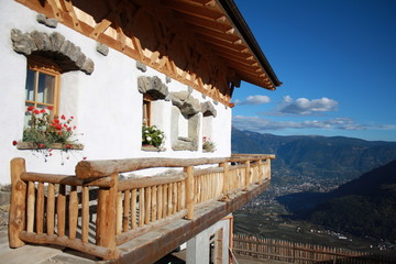 Fototapete bei efototapeten.de bestellen   