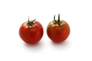 tomato