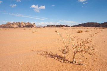 Fototapeta na wymiar Desierto de Wadi Rum