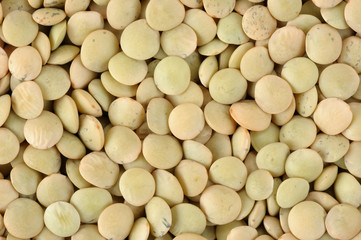 Lentils