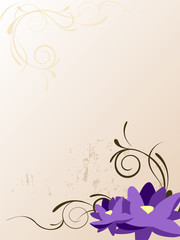 Lotusblüten © Ramona Kaulitzki