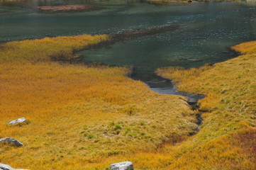 Shapes of water and grass in an alpine lake