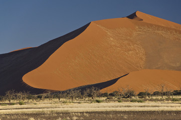 Fototapeta na wymiar Namib_1