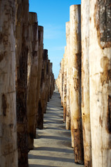 Fototapeta premium Groynes at the beach