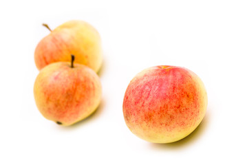 Apples
