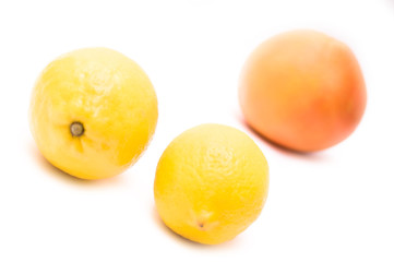 Grapefruit and lemon