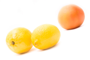 Grapefruit and lemon