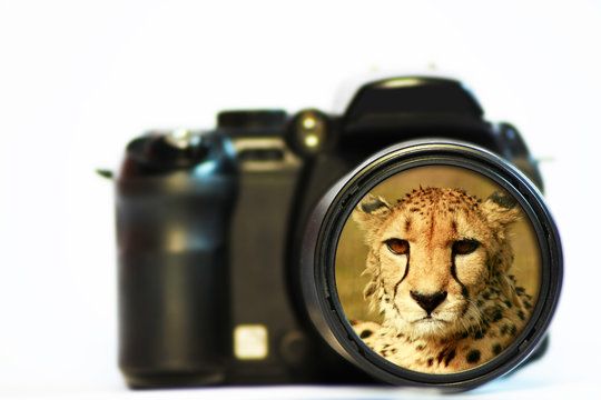 Camera