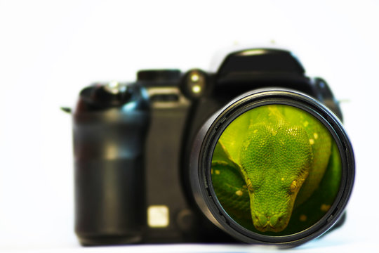 Camera