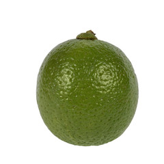 Limette