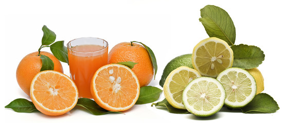 Naranjas y limones.