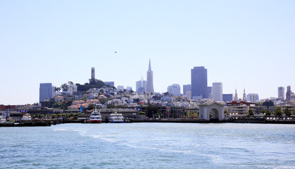 Fototapeta premium The San Francisco skylines