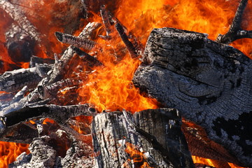 Burning wood