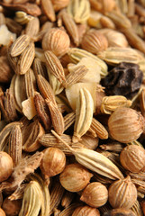 some delicious and healthy indian organic spice mix