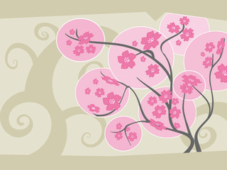 Sakura tree in full bloom - vector