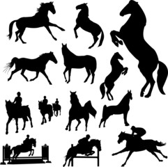 horses - vector - obrazy, fototapety, plakaty